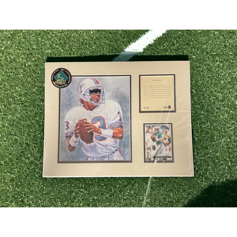 RARE DAN MARINO MATTED PRINT, CARD AND NUMBERED SHEET MIAMI DOLPHINS